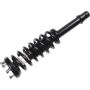 Autopart International Strut/Coil Spring Assy 2701654374