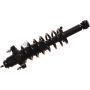 Autopart International Strut/Coil Spring Assy 2701654380