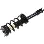 Autopart International Strut/Coil Spring Assy 2701654384
