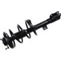 Autopart International Strut/Coil Spring Assy 2701654820