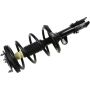 Autopart International Strut/Coil Spring Assy 2701654833