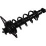 Autopart International Strut/Coil Spring Assy 2701654837