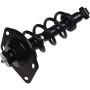 Autopart International Strut/Coil Spring Assy 2701654839