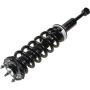 Autopart International Strut/Coil Spring Assy 2701654842