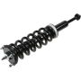 Autopart International Strut/Coil Spring Assy 2701654843