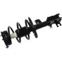 Autopart International Strut/Coil Spring Assy 2701654848