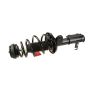 Autopart International Strut/Coil Spring Assy 2701654865