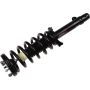 Autopart International Strut/Coil Spring Assy 2701654867