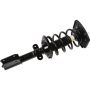 Autopart International Strut/Coil Spring Assy 2701654878