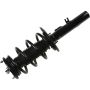 Autopart International Strut/Coil Spring Assy 2701655698