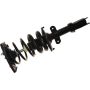 Autopart International Strut/Coil Spring Assy 2701655712
