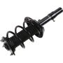 Autopart International Strut/Coil Spring Assy 2701655858