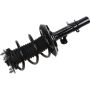 Autopart International Strut/Coil Spring Assy 2701655859