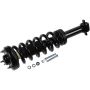 Autopart International Strut/Coil Spring Assy 2701656388