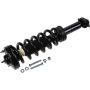 Autopart International Strut/Coil Spring Assy 2701656389