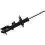 Autopart International Strut Assembly 2701657682