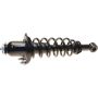 Autopart International Strut/Coil Spring Assy 2701660437