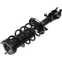 Autopart International Strut/Coil Spring Assy 2701660440