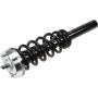 Autopart International Strut/Coil Spring Assy 2701660444