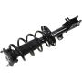 Autopart International Strut/Coil Spring Assy 2701660450