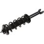 Autopart International Strut/Coil Spring Assy 2701660475