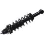 Autopart International Strut/Coil Spring Assy 2701660481