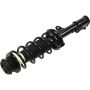 Autopart International Strut/Coil Spring Assy 2701660484