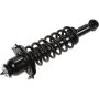 Autopart International Strut/Coil Spring Assy 2701660491