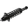 Autopart International Strut/Coil Spring Assy 2701660492
