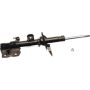 Autopart International Strut Assembly 2701660575