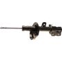 Autopart International Strut Assembly 2701660576