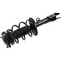 Autopart International Strut/Coil Spring Assy 2701676312