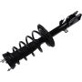 Autopart International Strut/Coil Spring Assy 2701676350