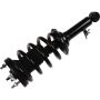 Autopart International Strut/Coil Spring Assy 2701676354