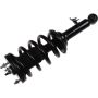 Autopart International Strut/Coil Spring Assy 2701676355