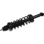 Autopart International Strut/Coil Spring Assy 2701676359
