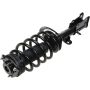 Autopart International Strut/Coil Spring Assy 2701676361