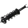 Autopart International Strut/Coil Spring Assy 2701676374