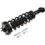 Autopart International Strut/Coil Spring Assy 2701676377