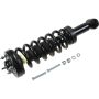 Autopart International Strut/Coil Spring Assy 2701679908