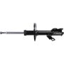 Autopart International Strut Assembly 2701683975