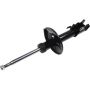 Autopart International Strut Assembly 2701683978