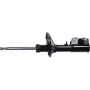 Autopart International Strut Assembly 2701683981