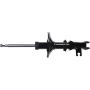 Autopart International Strut Assembly 2701683985