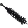 Autopart International Strut/Coil Spring Assy 2701684527