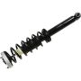 Autopart International Strut/Coil Spring Assy 2701685283