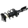Autopart International Strut/Coil Spring Assy 2701685285