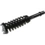 Autopart International Strut/Coil Spring Assy 2701685288