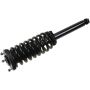 Autopart International Strut/Coil Spring Assy 2701685304
