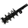 Autopart International Strut/Coil Spring Assy 2701685307